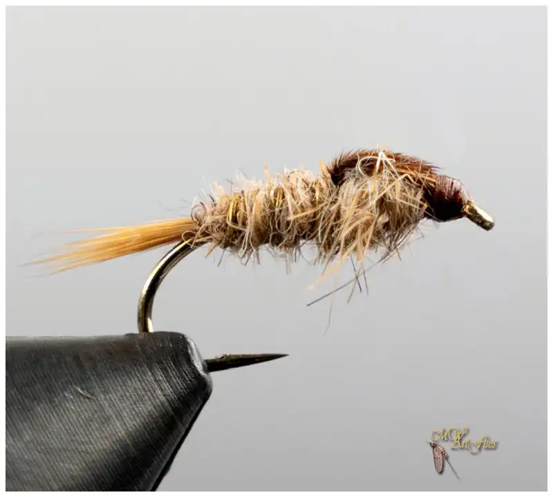 Klassische Nymphe Nymphenfischen Fliegenfischen